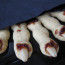 Trick or Treat?
