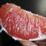 Il pomelo: the “slow fruit”