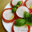 Vera Finta Caprese