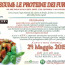 Corso di cucina naturale: I legumi, SPECIALE ESTATE!