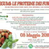I legumi, le proteine dei Furbi!!